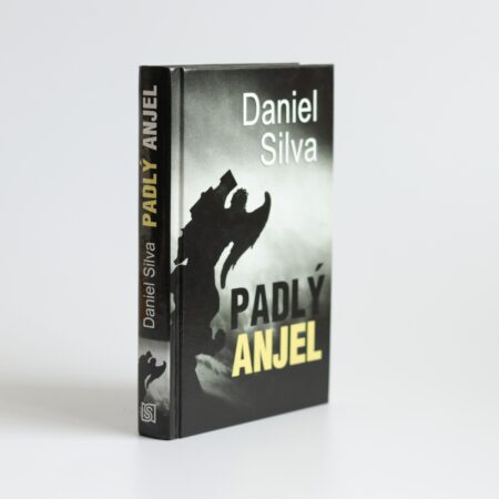 padly anjel silva (1)