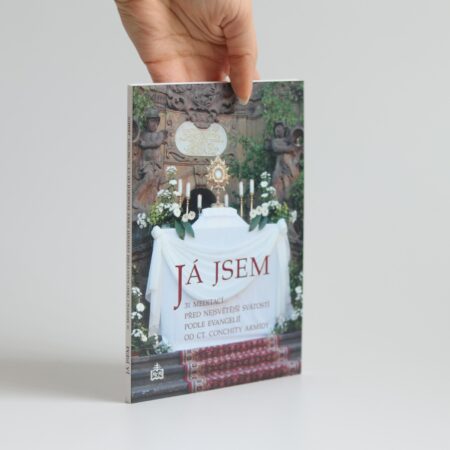 ja jsem armida (1)