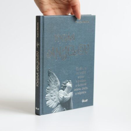 kniha anjelov melville (1)