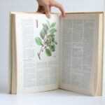 atlas liecivych rastlin a lesnych plodov kresanek krejca (1)