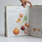 encyklopedia korenin bylin a pochutin ortizova (1)