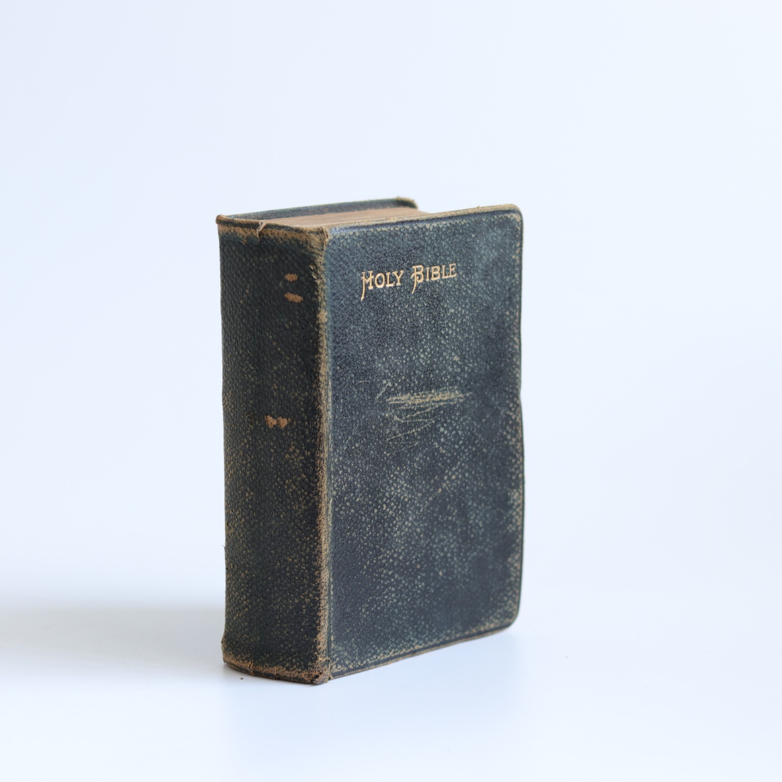 holy bible 1889 (1) holy bible 1889 (1)