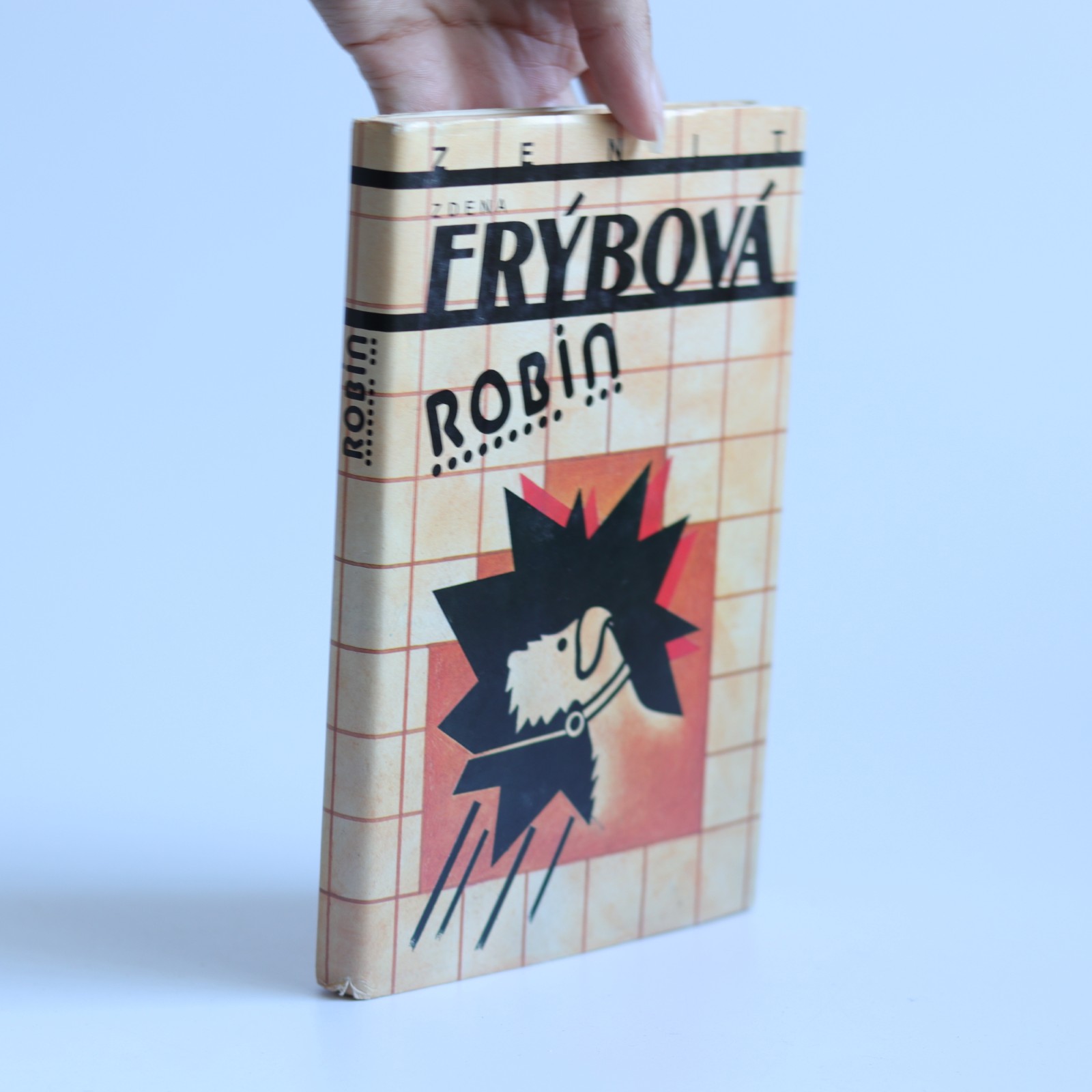 robin frýbová Obálka knihy Robin - Zdena Frýbová