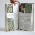 zahradkarska encyklopedia bohm (1)