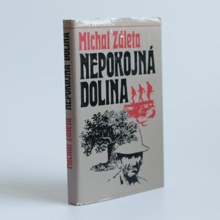 Obálka knihy Nepokojná dolina - Michal Záleta