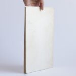 Óda na radosť rúfus