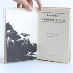 v kordillerach karol may
